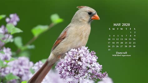 Duncraft Desktop Calendar